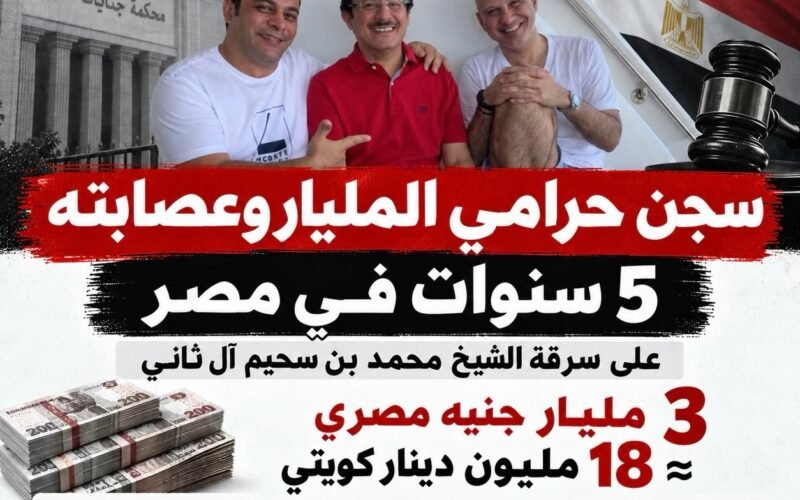 سجن حرامي المليار وعصابته 5 سنوات في مصر